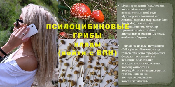 марки nbome Балабаново